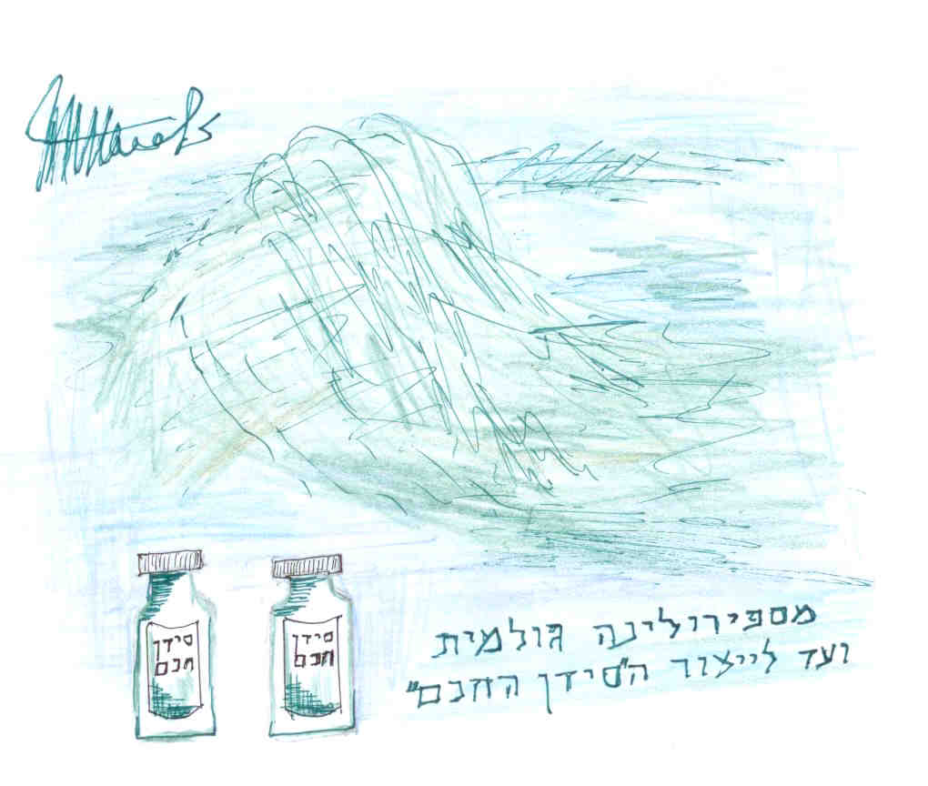 ספירולינה (Spirulina) עשירה מאוד בסידן ולכן יעילה מאוד לטיפול במחלת אוסטיאופורוזיס (Osteoporosis). סידן חכם מכיל יונים של סידן ומתווכי סידן לעצם ויעיל מאוד לטיפול במחלת אוסטיאופורוזיס  